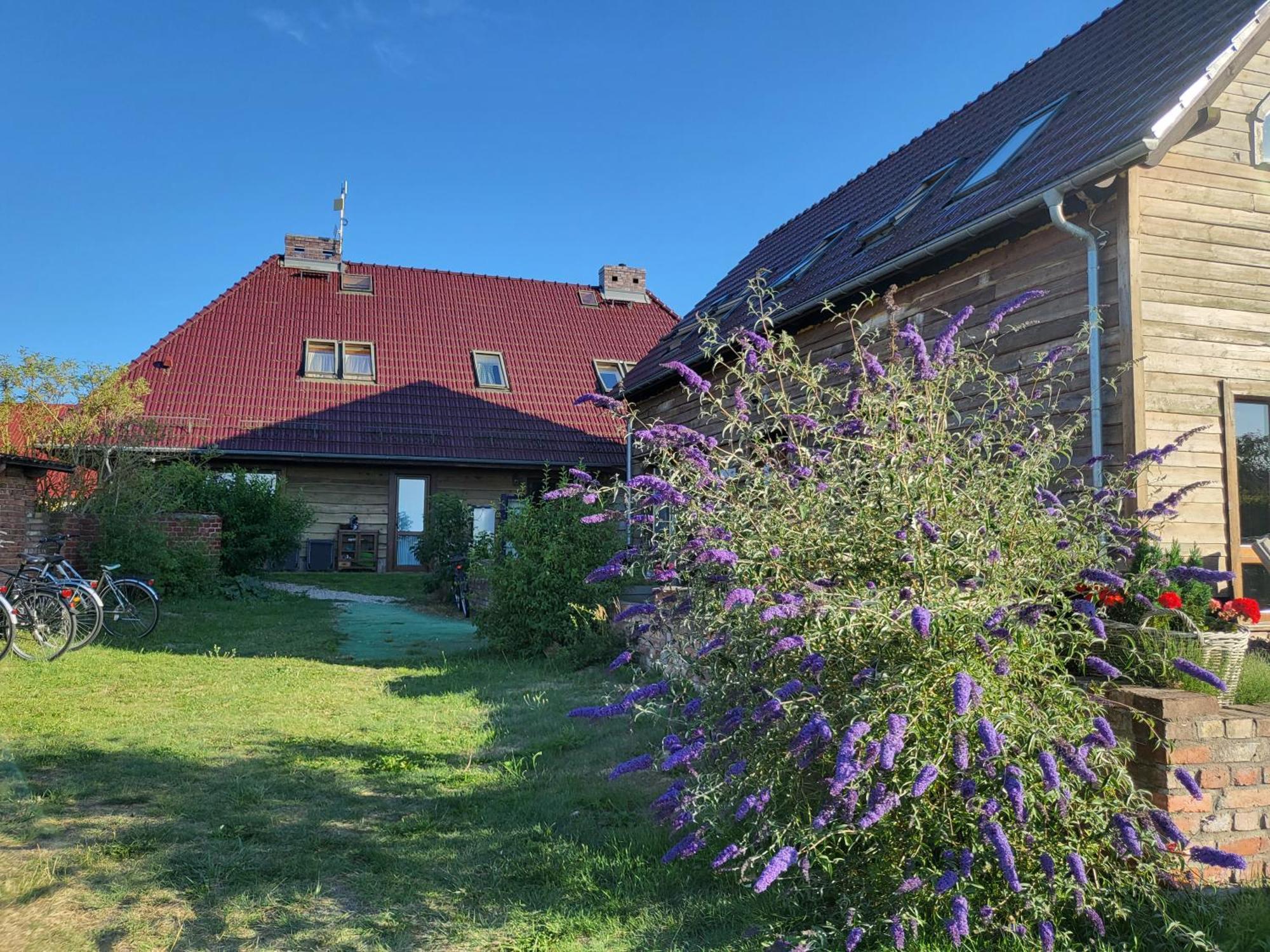 Dom Goscinny Ptaszarnia - Natura-Free Parking Swinemünde Exterior foto